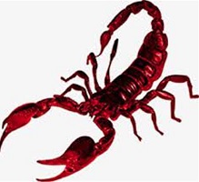 Red scorpion in dream