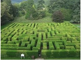 Maze dream meaning