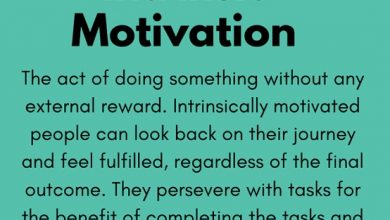 Types of intrinsic motivation